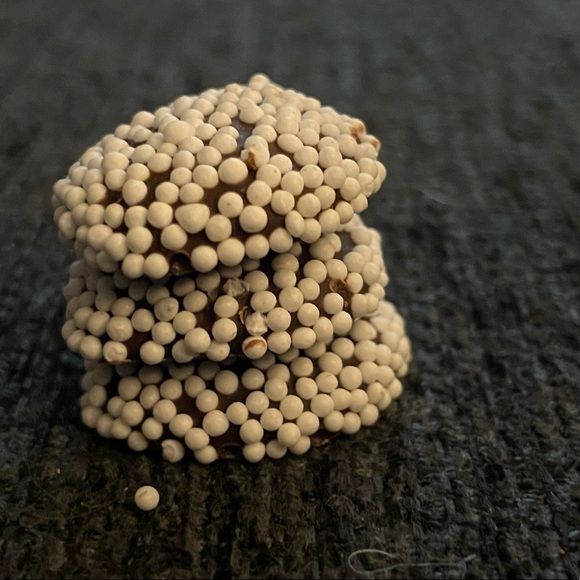 Meet your Posher, Tyler - Picture 1 of 1